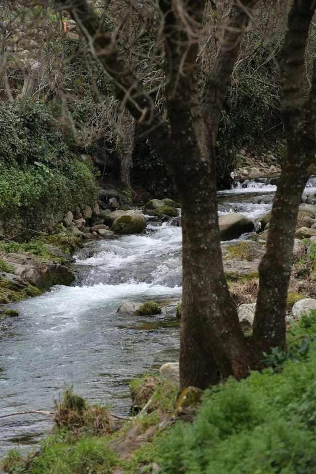 El Olivar Agloipe Ahigal Trcc Exterior foto